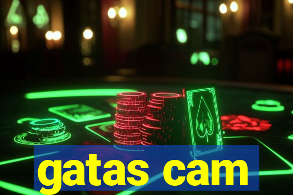 gatas cam